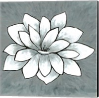 Framed White Lotus