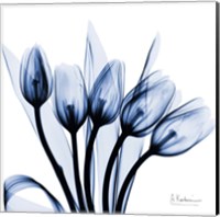 Framed Marvelous Indigo Tulips