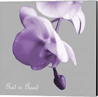 Framed Godly Good Orchids