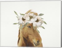 Framed Floral Horse