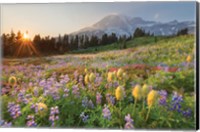 Framed Paradise Wildflower Meadows I