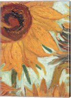 Framed Vase with Twelve Sunflowers, .c1888 (detail)