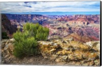 Framed Grand Canyon Medicine