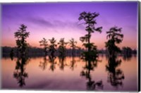 Framed Lake Martin Twilight