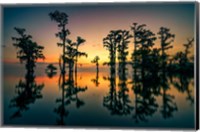 Framed Dawn on Lake Maurepas