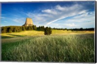 Framed Devils Tower