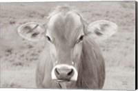 Framed Dairy Barn Neutral