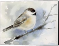 Framed Winter Chickadee