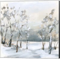 Framed Snowy Winter Trees