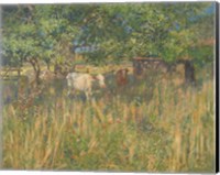 Framed Field Cows