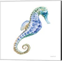 Framed Undersea Seahorse