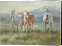 Framed Rangeland Horses