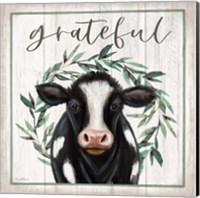 Framed Grateful