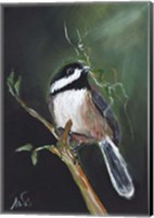 Framed Chickadee