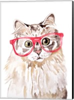 Framed Cat with Glasses