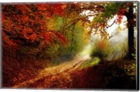 Framed Autumn Forest Edge