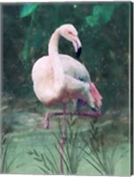 Framed Peach Flamingo II