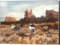 Framed Desert Horses