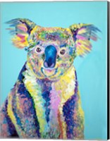 Framed Koala