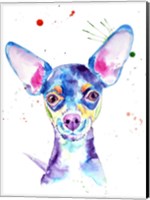 Framed Dobby Chihuahua