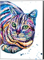 Framed Colorful Tabby Cat