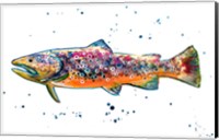 Framed Colorful Trout