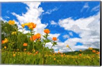 Framed California Poppies