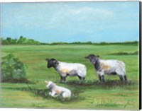 Framed Sheep Trio