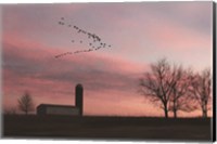 Framed Spring Migration of Snow Geese