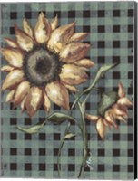 Framed Sunflowers Plaid I