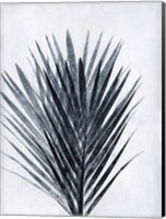 Framed Palm 2 Grey