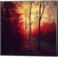 Framed Ruby Red Forest