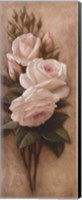 Framed Pink Petals I