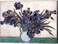 Framed Irises in Vase, c.1890