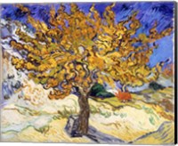 Framed Mulberry Tree in Autumn, c.1889