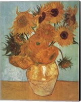 Framed Vase with Twelve Sunflowers, c.1888