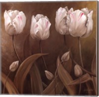 Framed Sepia Tulips II