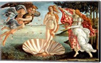 Framed Birth of Venus