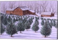 Framed Xmas Tree Farm