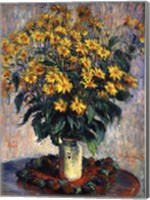 Framed Jerusalem Artichoke Flowers, 1880