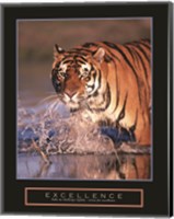 Framed Excellence - Bengal Tiger