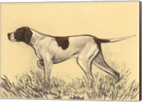 Framed Hunting Dogs-Pointer