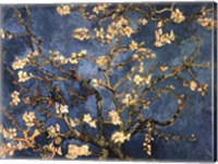 Framed Blossoming Almond Tree, Saint-Remy, c.1890