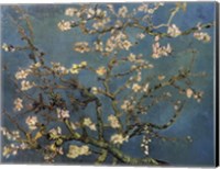 Framed Blossoming Almond Tree, Saint-Remy, c.1890