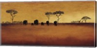 Framed Serengeti II