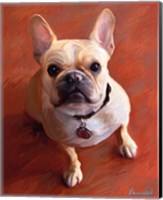 Framed Sophie French Bulldog