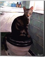 Framed Gray Tiger Cat on the Toilet