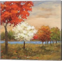 Framed Four Seasons