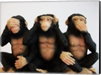 Framed Monkeys - See No Evil, Hear No Evil, Speak No Evil