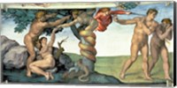 Framed Sistine Chapel Ceiling (1508-12): The Fall of Man, 1510